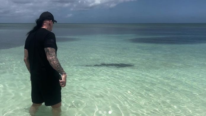 Undertaker